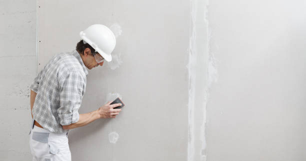 Best Mold Damage Restoration  in Wildwood Crest, NJ