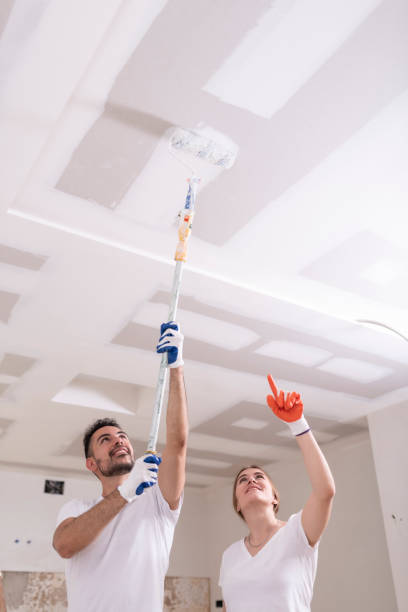 Best Commercial Mold Inspection  in Wildwood Crest, NJ