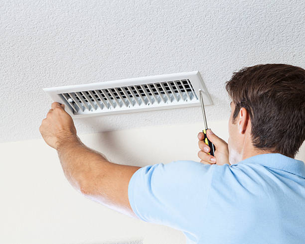Best Forensic Mold Investigation  in Wildwood Crest, NJ